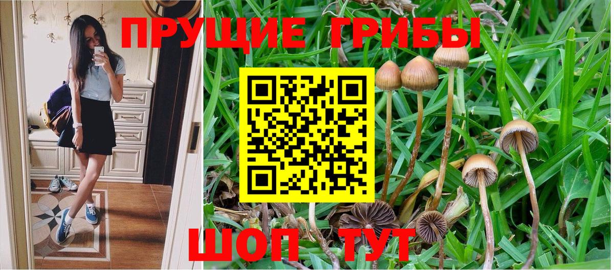 Псилоцибиновые грибы GOLDEN TEACHER  Вход с VPN  Псилоцибиновые грибы ЛСД  Сызрань 